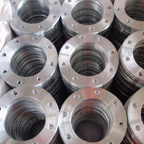 Stainless Steel Plane/Plate Flanges with Flat Face