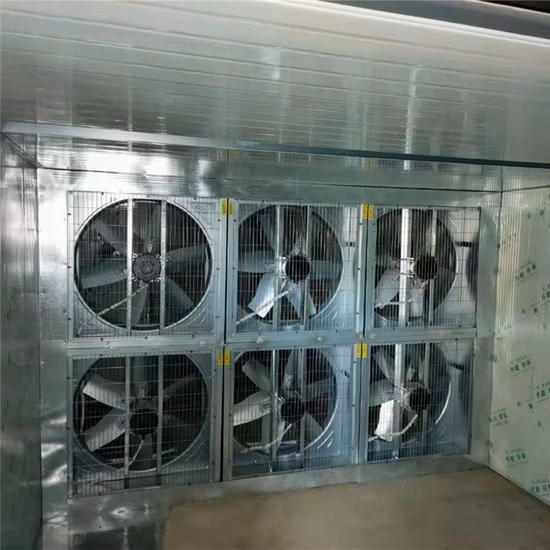 Hot Air Fruit Drying Equipment Apple Dryer
