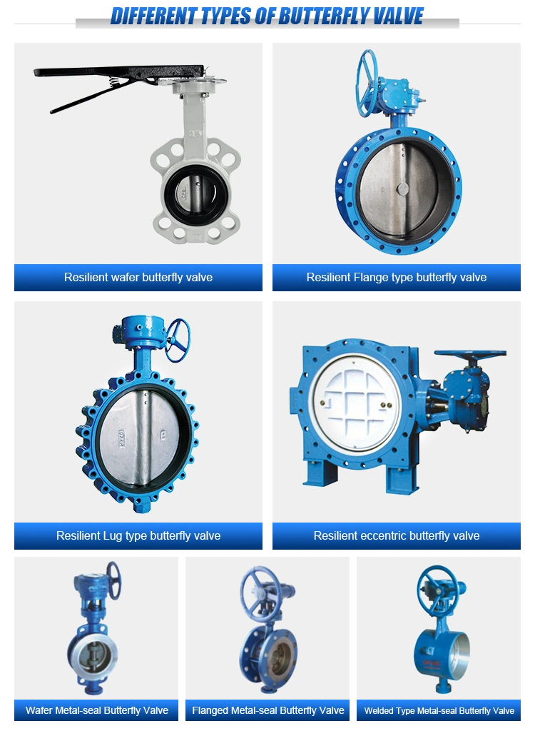 Gear Box Soft Seal Ci Di Body PTFE Seated Lining Manual Worm Gear Butterfly Valve with Ss Disc