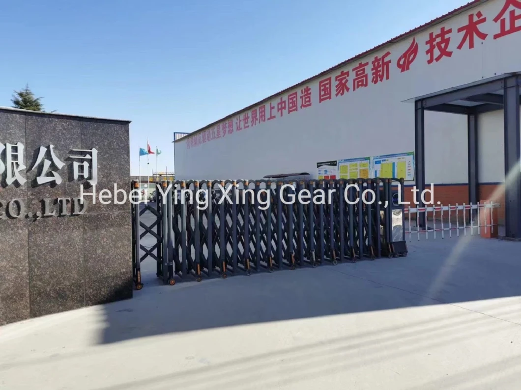 Module 9 and 11 Teeth Customized Gear Shaft for Reducer/Oil Drilling Rig/ Construction Machinery/ Truck/ Fan Machine