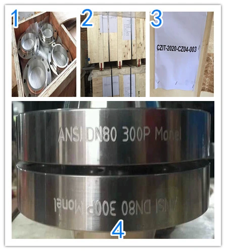 A105 Fitting ASME Welding Forged Weld Neck Carbon Stainless Pipe Steel Flange